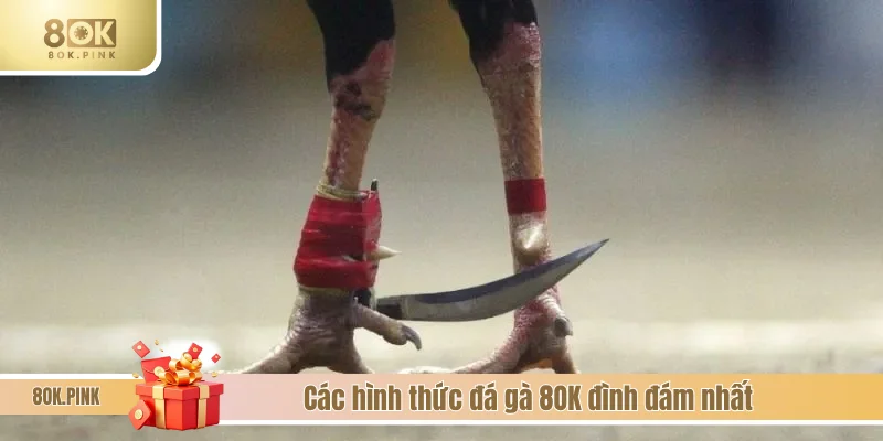 Hình thức tranh tài chọi kê kịch tính