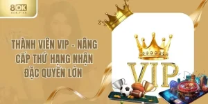 Thành Viên VIP - Nâng Cấp Thứ Hạng Nhận Đặc Quyền Lớn